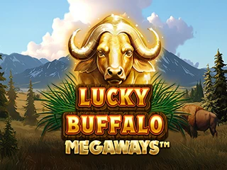 Lucky Buffalo Megaways SAPPORO88